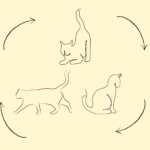Illustratie van katten in het jaag-, gevaar- en kalmeringsysteem