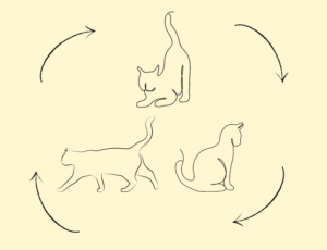 Illustratie van katten in het jaag-, gevaar- en kalmeringsysteem