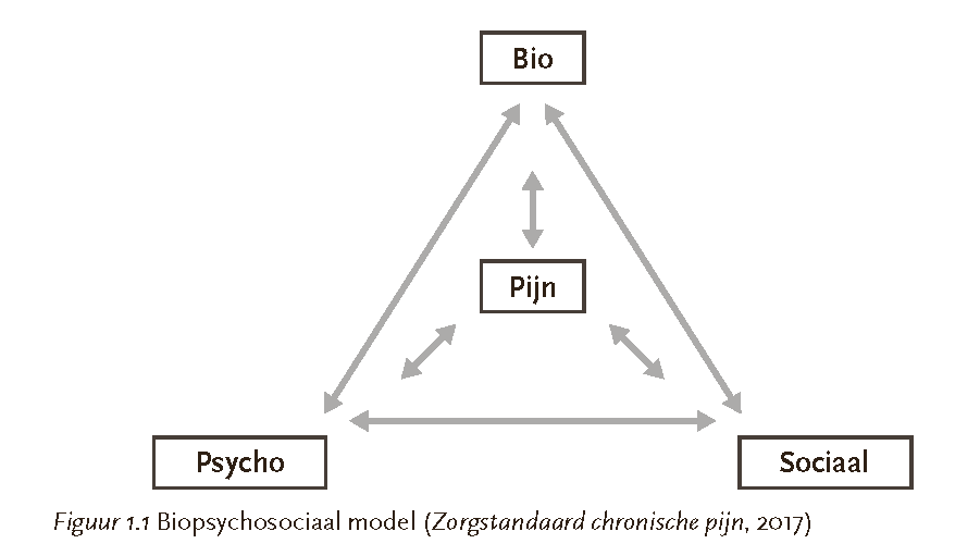 figuur 1.1 Biopsychosociaal model (Zorgstandaard chronische pijn, 2017), pagina 42 uit het boek In gesprek met pijn van Jolanda Reitsma-Lutjes, Boom 2026